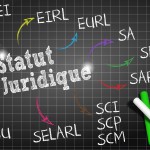 différents statuts juridiques France entreprise.