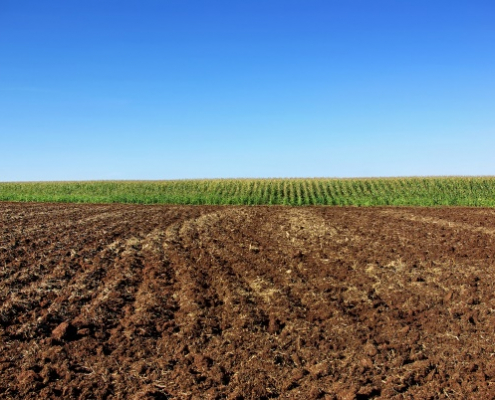 Achat d'une terre agricole