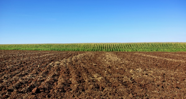 Achat d'une terre agricole